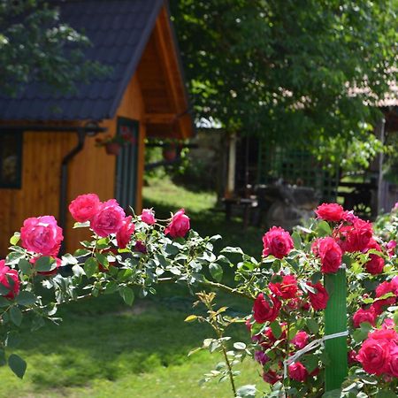 Ivona - Kuca Za Odmor Perusic - Stara Lika Apartamento Exterior foto