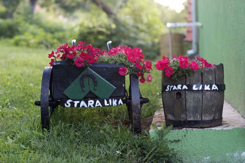 Ivona - Kuca Za Odmor Perusic - Stara Lika Apartamento Exterior foto